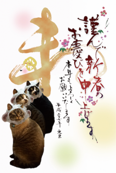 猫年賀状2015 のコピー.png